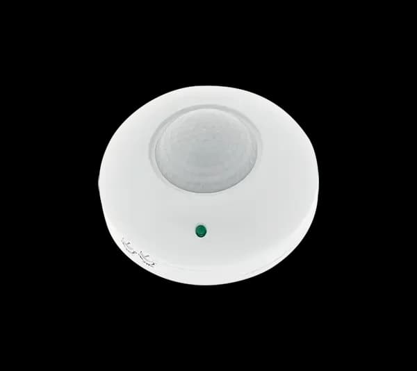 99DS101